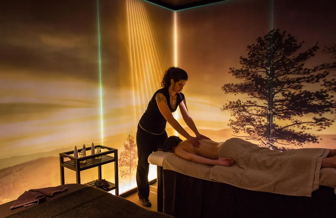 Hotel Spa Balfagon-1